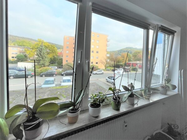 Blick auf den Odenwald