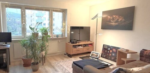 Gut geschnittene 1,5 ZW mit Einbauküche