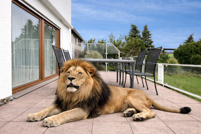 Terrasse mit Platz zum Entspannen