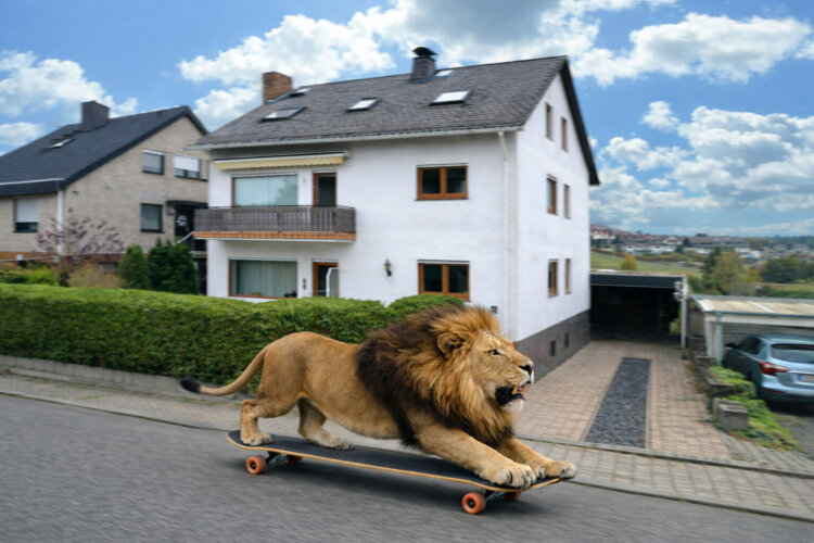 3-FH mit 5,34 % Rendite