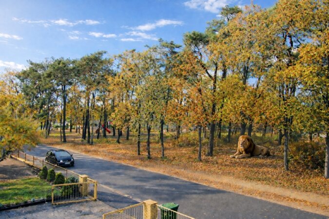 Ausblick auf den Akazienpark