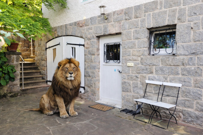 KI-Visualisierung - stilvoller Zugang