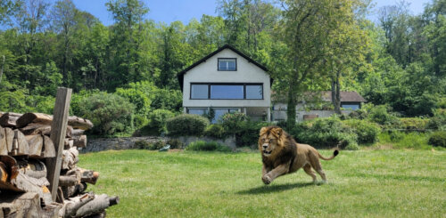 Exklusives Anwesen mit traumhafter Fernsicht in einmaliger Alleinlage