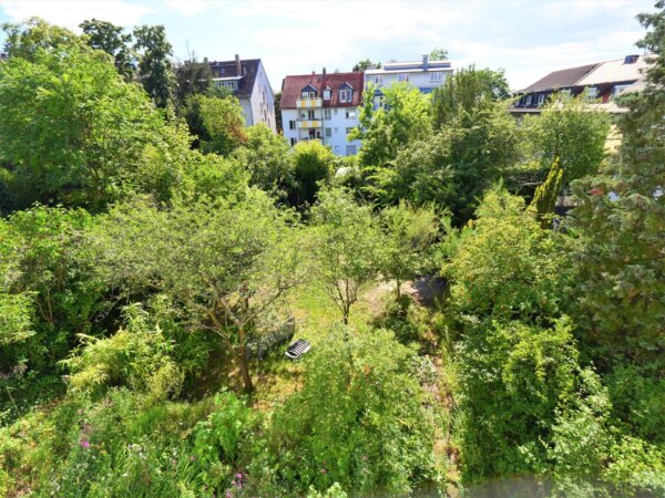 Blick in den Garten