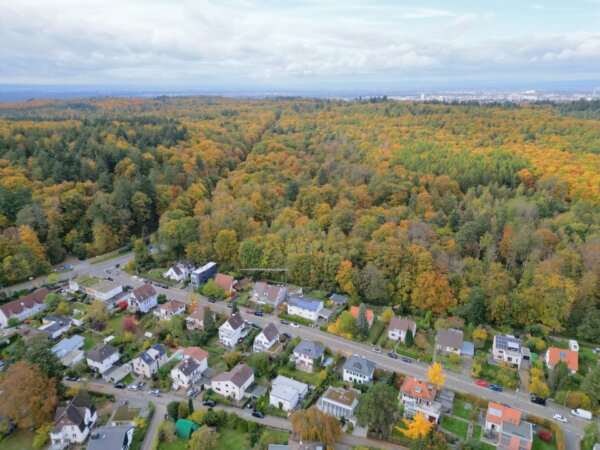 Nähe zu Darmstadt und zum Wald