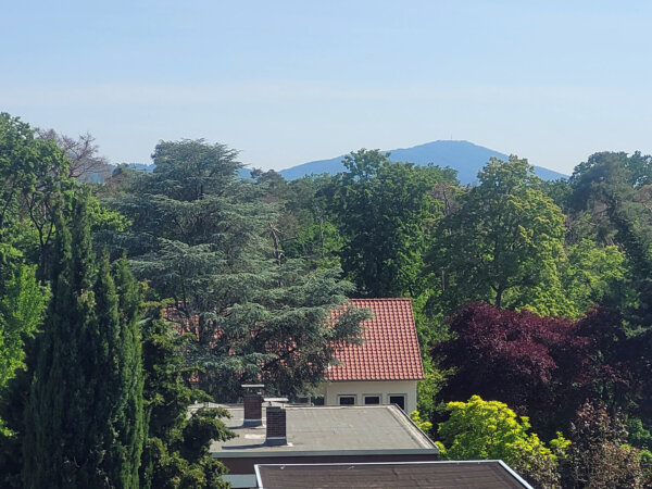 der Melibokus in der Ferne