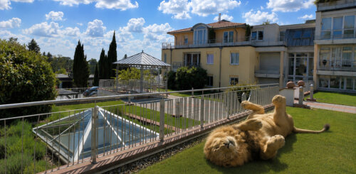 Exklusive 2-Zimmerwohnung in Bestlage mit Balkon und phantastischer Fernsicht