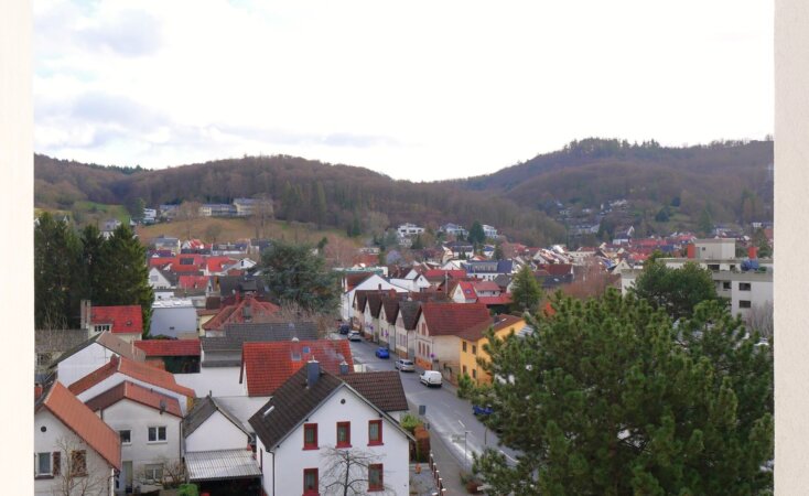 Panorama-Ausblick in die Natur