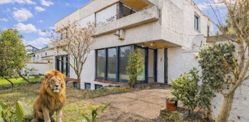 Gestalten nach den eigenen Vorstellungen