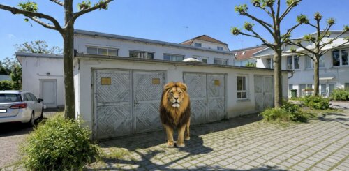 Renditeobjekt in bester Lage