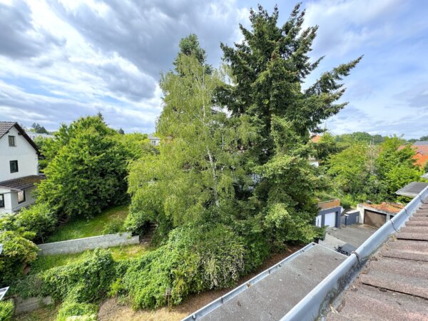 Ausblick ins Grüne