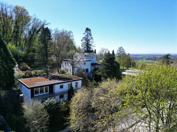 traumhaftes Umfeld