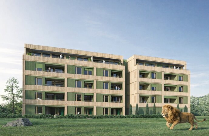 Lapinou Löwe tobt sich aus