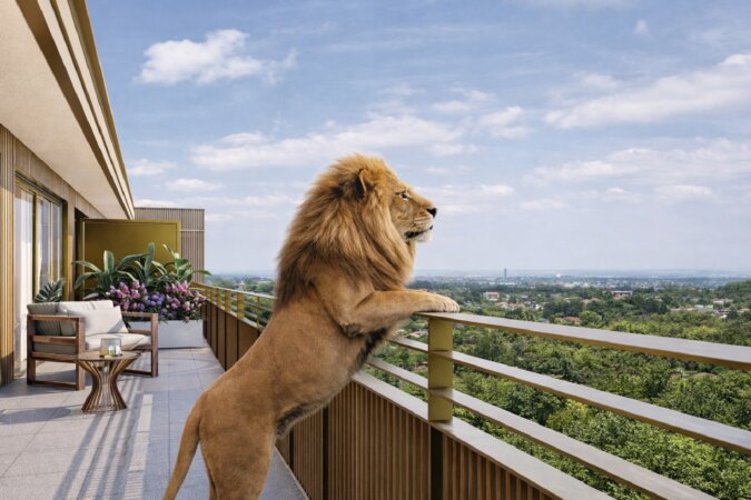 Lapinou Löwe genießt Aussicht auf der Penthouesterrasse