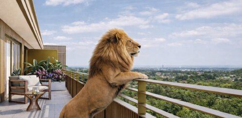 "Das Lapinou" - exklusive 4-Zmmer-Neubau-Penthousewohnung im Ludwigshöhviertel