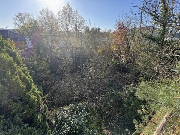 Blick aufs Grundstück