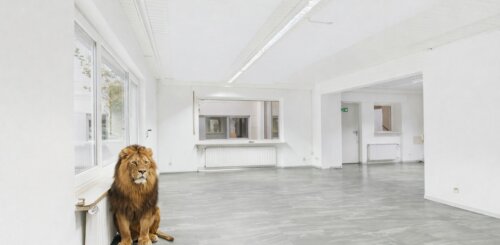 Ideale Lage für Ihr Unternehmen