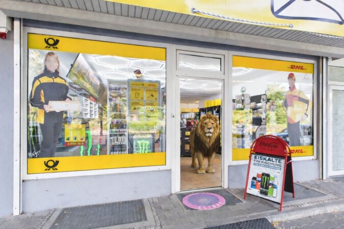 Ansicht Schaufenster mit Löwe
