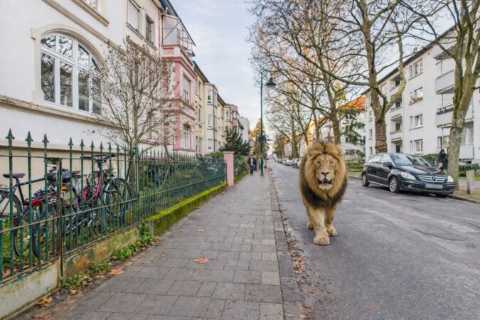 KI-möbliertes Bild - beste Lage