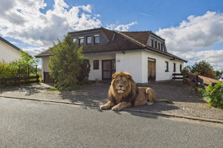 Wohntraum an der Bergstraße