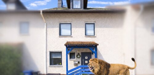 Ihr neues Zuhause mit zwei Balkonen, Garage und Stellplatz in Seeheim