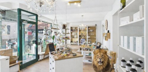 Lichtdurchflutete Ladenfläche im Herzen von Seeheim