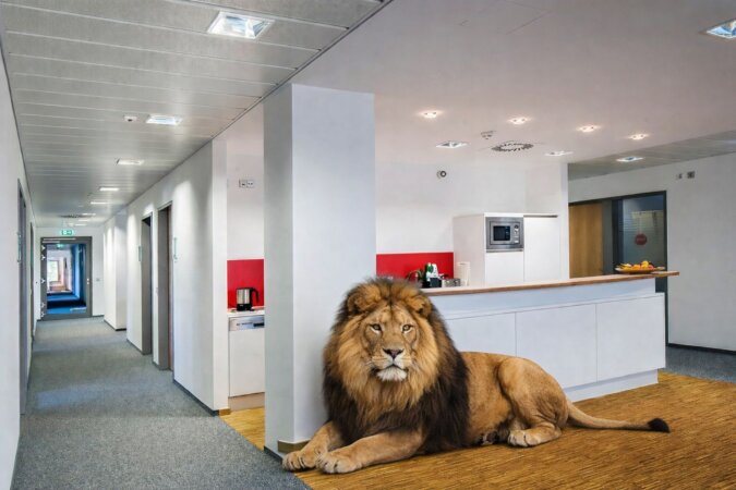 verschiedene Gemeinschaftsbereiche