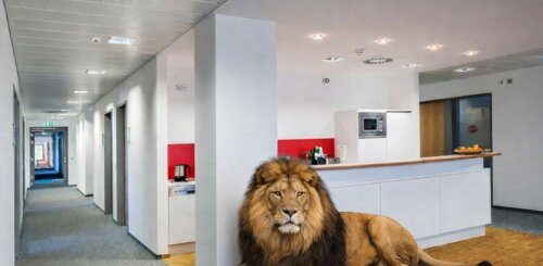 Arbeiten auf höchstem Niveau