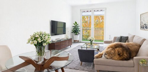 Großzügige Wohnung in top Lage: die perfekte Wohnung für den "ruhigen Mieter"