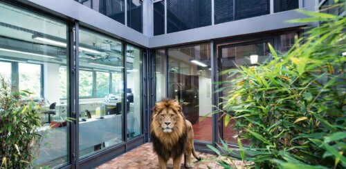 Viel Platz für Ihr Potenzial