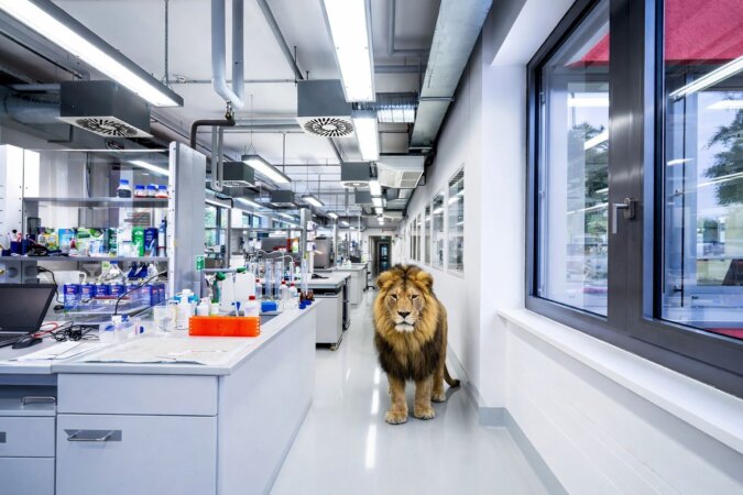 viele Möglichkeiten