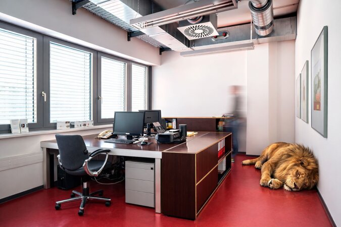 verschiedene Bürogrößen