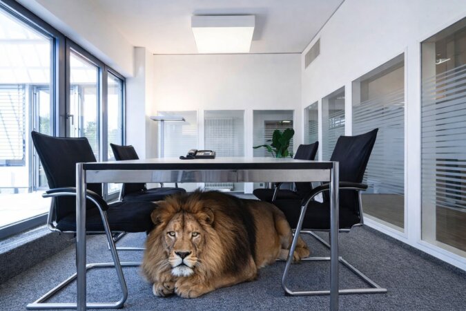 repräsentative Räume