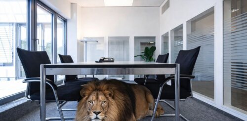 Arbeiten und Komfort unter einem Dach