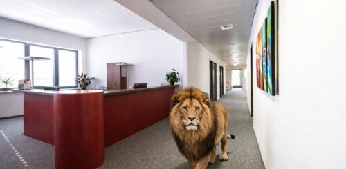 Viel Platz zum Weiterentwickeln