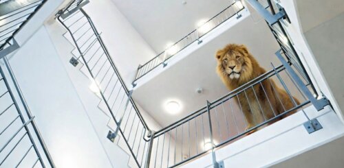 Platz zum Weiterentwickeln