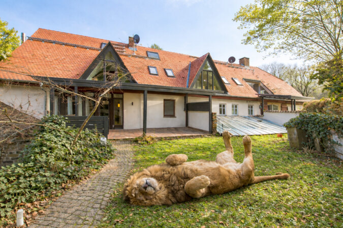 Visualisierung - Platz zum Entspannen