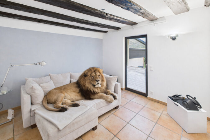 Visualisierung - viel Platz im Gästezimmer