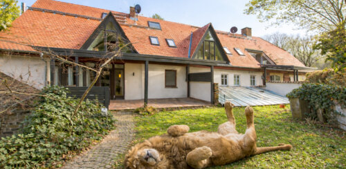 Ein Zuhause mit Seele – Maisonette-Traum mit Garten in denkmalgeschützter Mühle