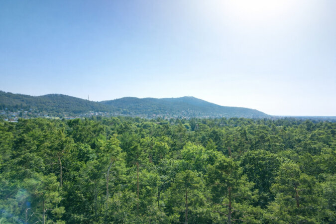 erstaunliche Nähe zum Wald-ideal für Naturliebhaber