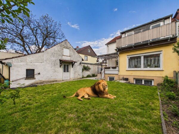 KI-verändertes Bild - Ihr Gartenbereich