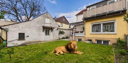 Zwei in einem inkl. Garten