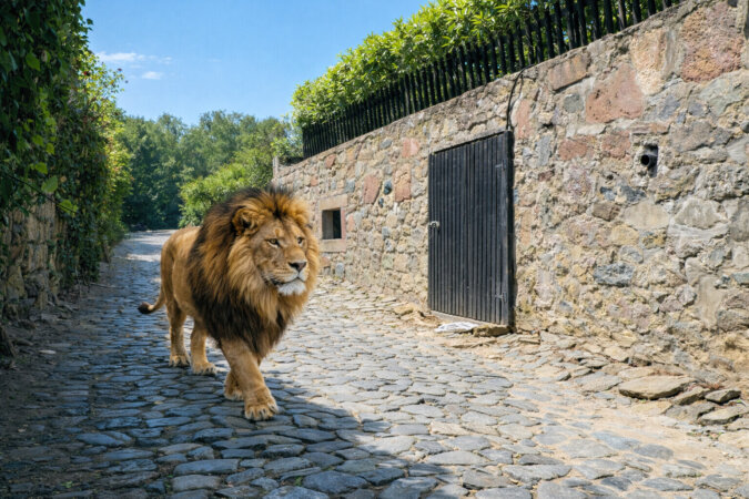 Visualisierung - hier kommt man gerne nach Hause