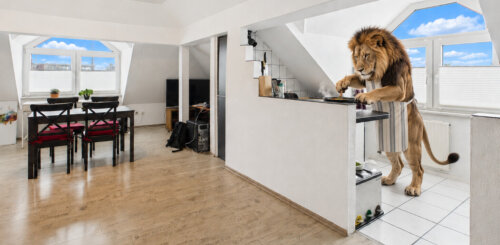 Gemütliche 2-Zimmer-Dachgeschosswohnung mit besonderem Flair