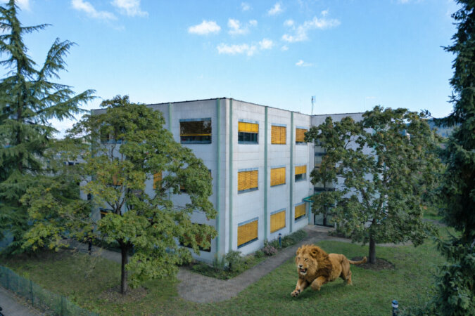 Visualisierung - Grünanlagen für Bewegung in den Pausen