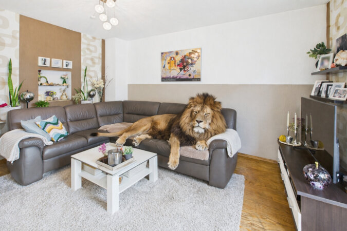 Visualisierung - hier kann man entspannen