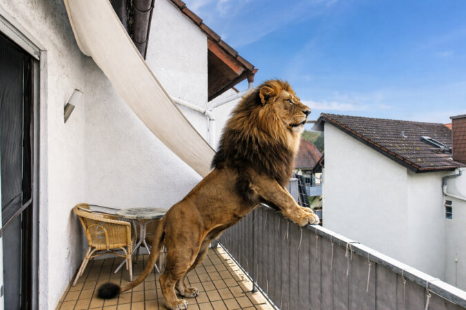 Visualiserung - ein angenehmer Feierabend auf dem Balkon