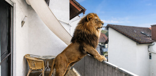 Willkommen in Ihrem neuen Heim - mit zwei Balkonen, Garage und Stellplatz