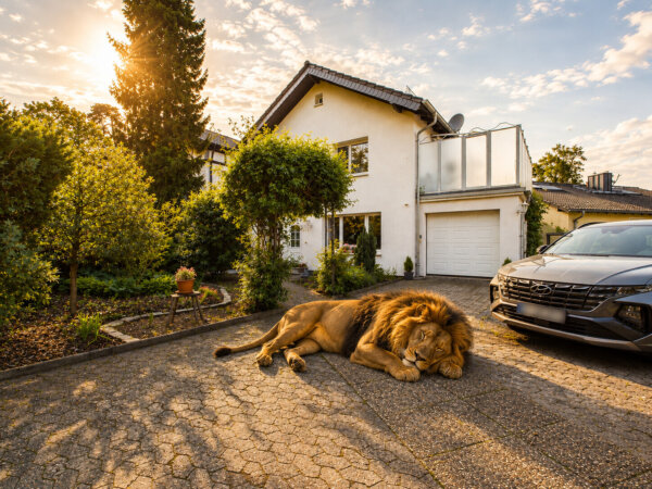 KI - Visualisierung - herzlich willkommen in Ihrem neuen Zuhause
