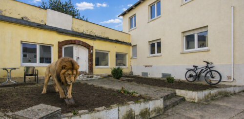 KOMPAKTE WOHNUNGEN MIT AUSBAURESERVE – KAPITALANLAGE MIT ENTWICKLUNGSPOTENZIAL